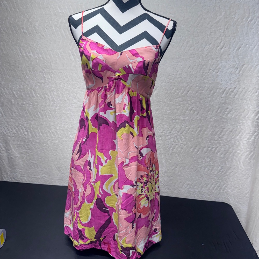 The Limited Pink Floral Silk Mini Dress Sleeveless Empire Waist Size 4
